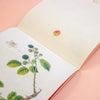 Open book with botanical illustrations on a peach background