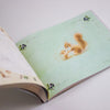Open book with a squirrel illustration on a light green background