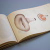 Open book with illustrations of mushrooms on a blue background