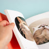 A hand holding an open book showing printed cat photographs on the pages, against a soft light blue background.