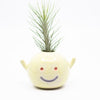 Front view of the Cho vase, with air plant. Yellow speckled colour and purple smile. 