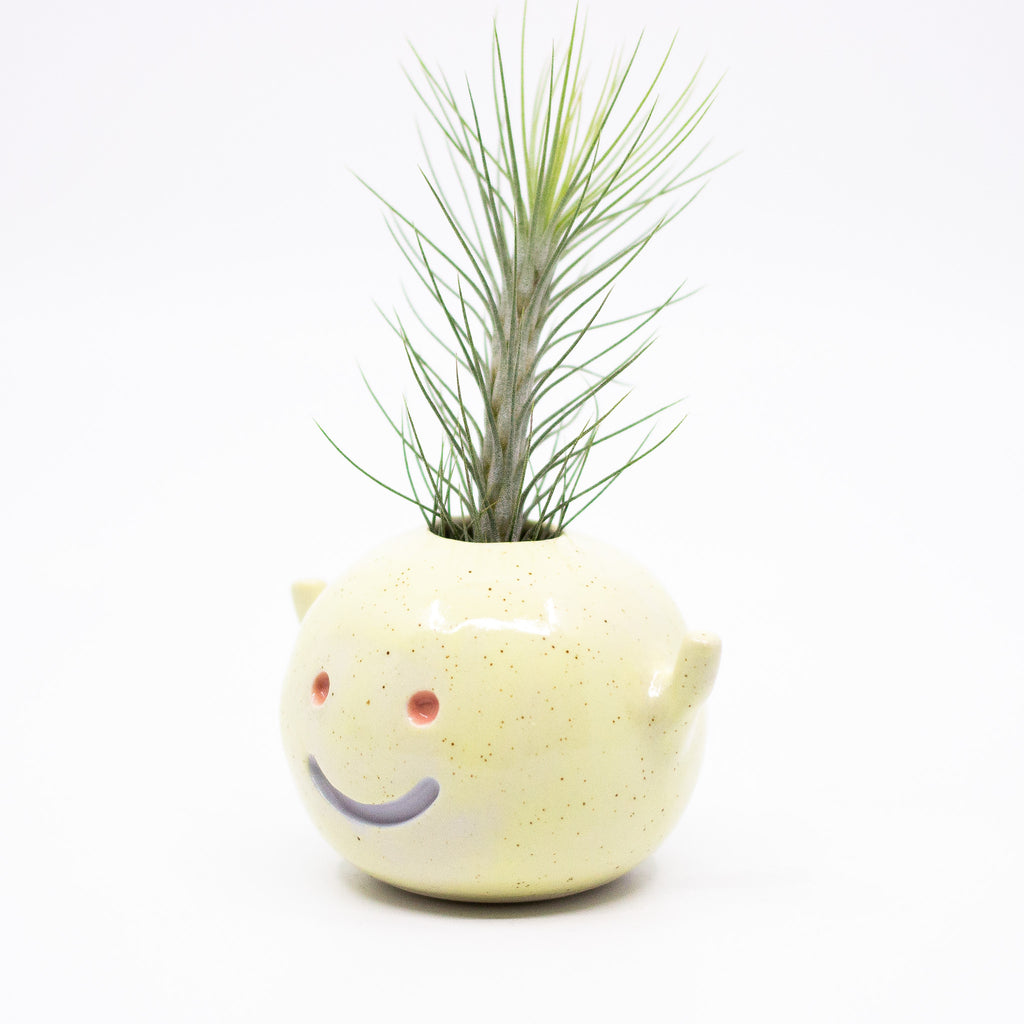 Side view of the Cho vase, with air plant. Yellow speckled colour and purple smile. 