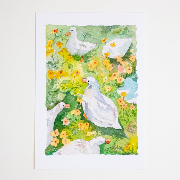 A vertical art print featuring a watercolour illustration of several white ducks foraging among green grass and yellow-orange flowers, displayed against a clean white background.