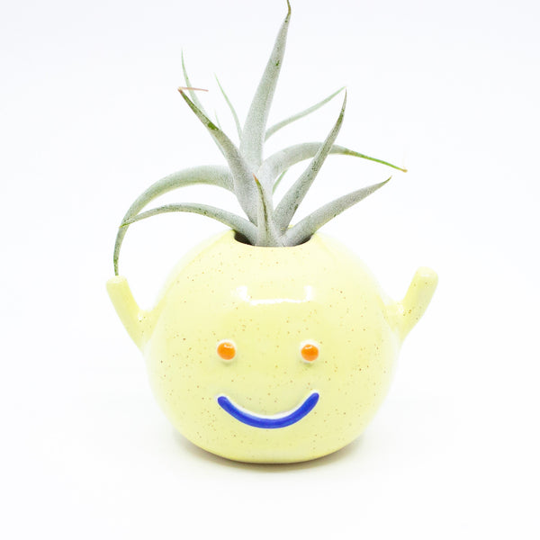 Front view of fleur yellow monster vase with blue smile and orange eyes. Air plant. 