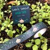 Washi tape with garlic sprout design on a background of young plants