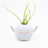 Front view of Herbie vase, holding an air plant. Lilac colour and blue smile. 