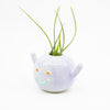 Side view of Herbie vase, holding an air plant. Lilac colour and blue smile. 