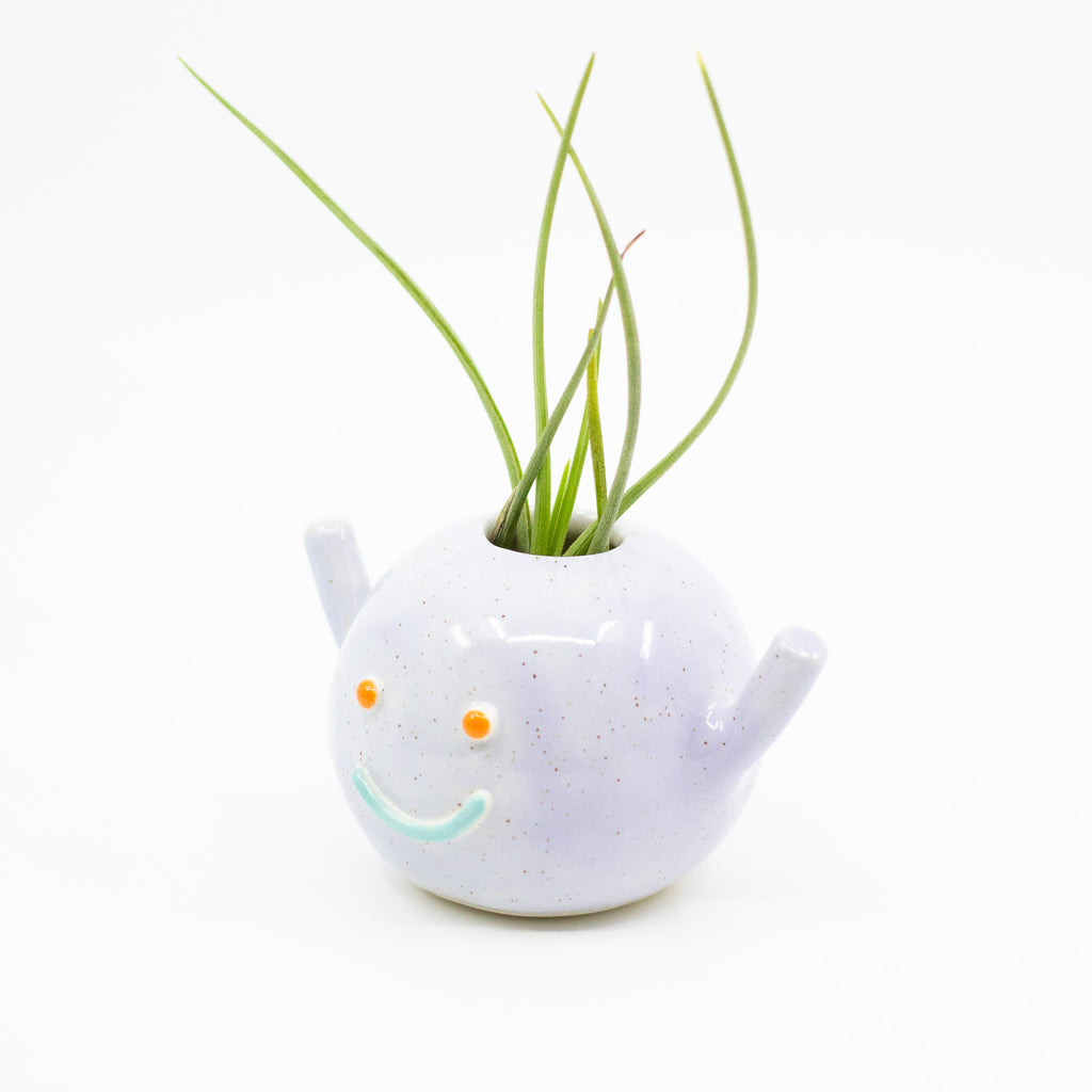 Side view of Herbie vase, holding an air plant. Lilac colour and blue smile. 