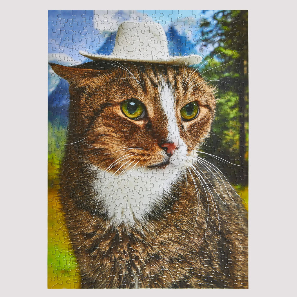 A close-up photo of a tabby and white cat wearing a white hat, set against a yellow border on a light grey background.