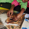 Person assembling a puzzle of a cat's face with a green shirt and pink sleeves.