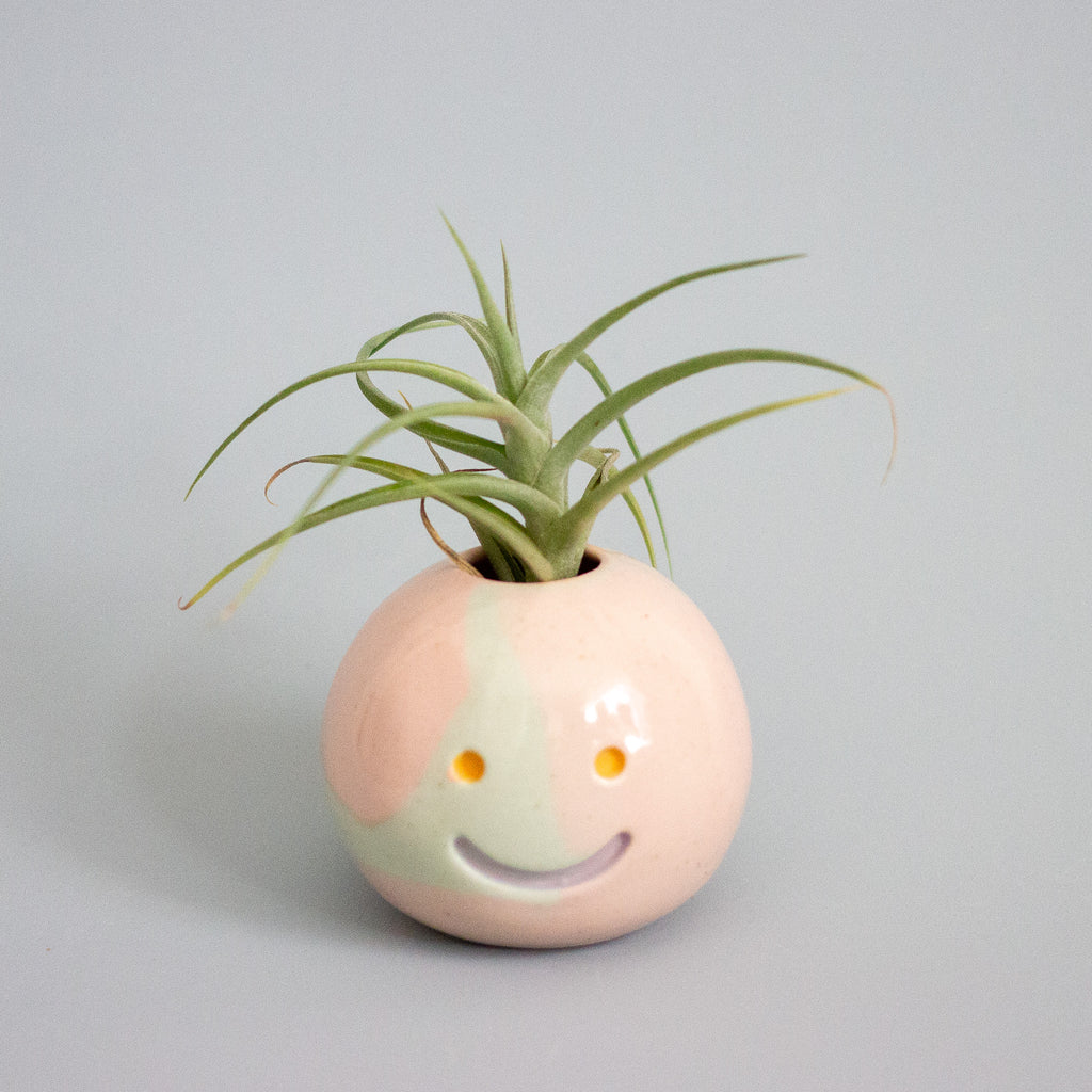 Smiley face ceramic planter with an air plant on a light gray background