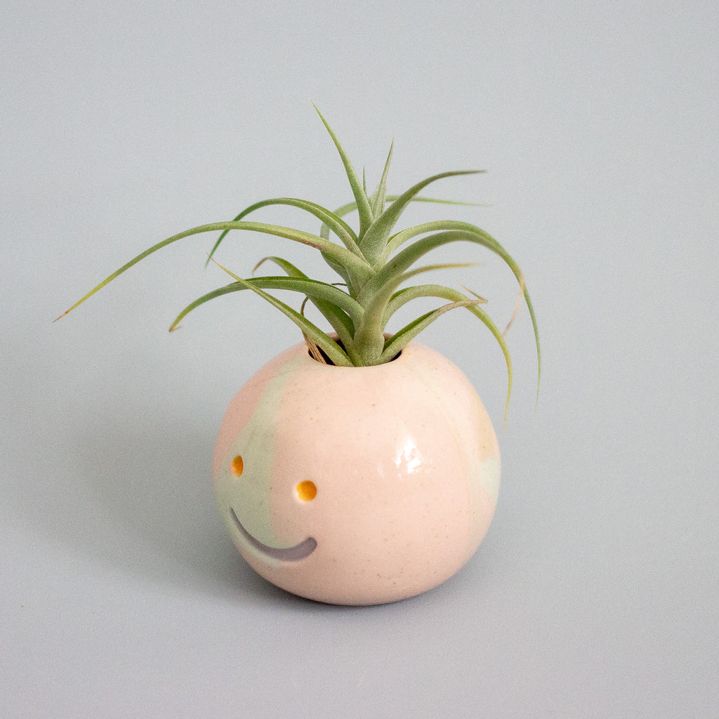 Ceramic planter with a face design holding an air plant on a gray background