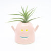 Front view of the Mio vase, with air plant. Pink colour and blue smile. 
