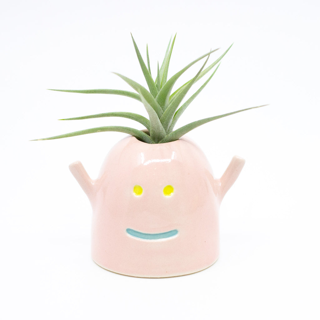 Front view of the Mio vase, with air plant. Pink colour and blue smile. 