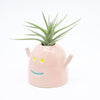 Side view of the Mio vase, with air plant. Pink colour and blue smile. 