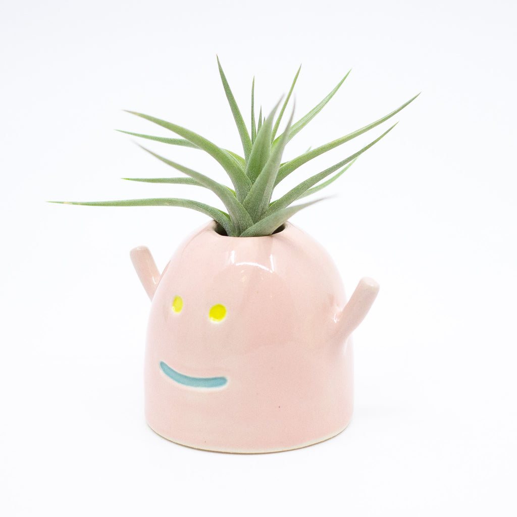 Side view of the Mio vase, with air plant. Pink colour and blue smile. 