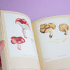 Open book with illustrations of mushrooms on a purple background