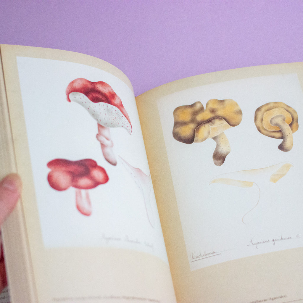 Open book with illustrations of mushrooms on a purple background