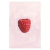 A centered painted raspberry on a soft pale pink background, presented as wall art with a white border around the print.