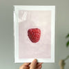 A hand holds a square art print featuring a detailed red raspberry illustration on a pale pink background, enclosed in a clear protective sleeve against a softly blurred indoor backdrop.