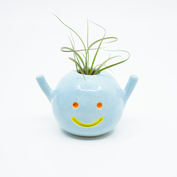 Front view of the Remi Vase holding an air plant. 