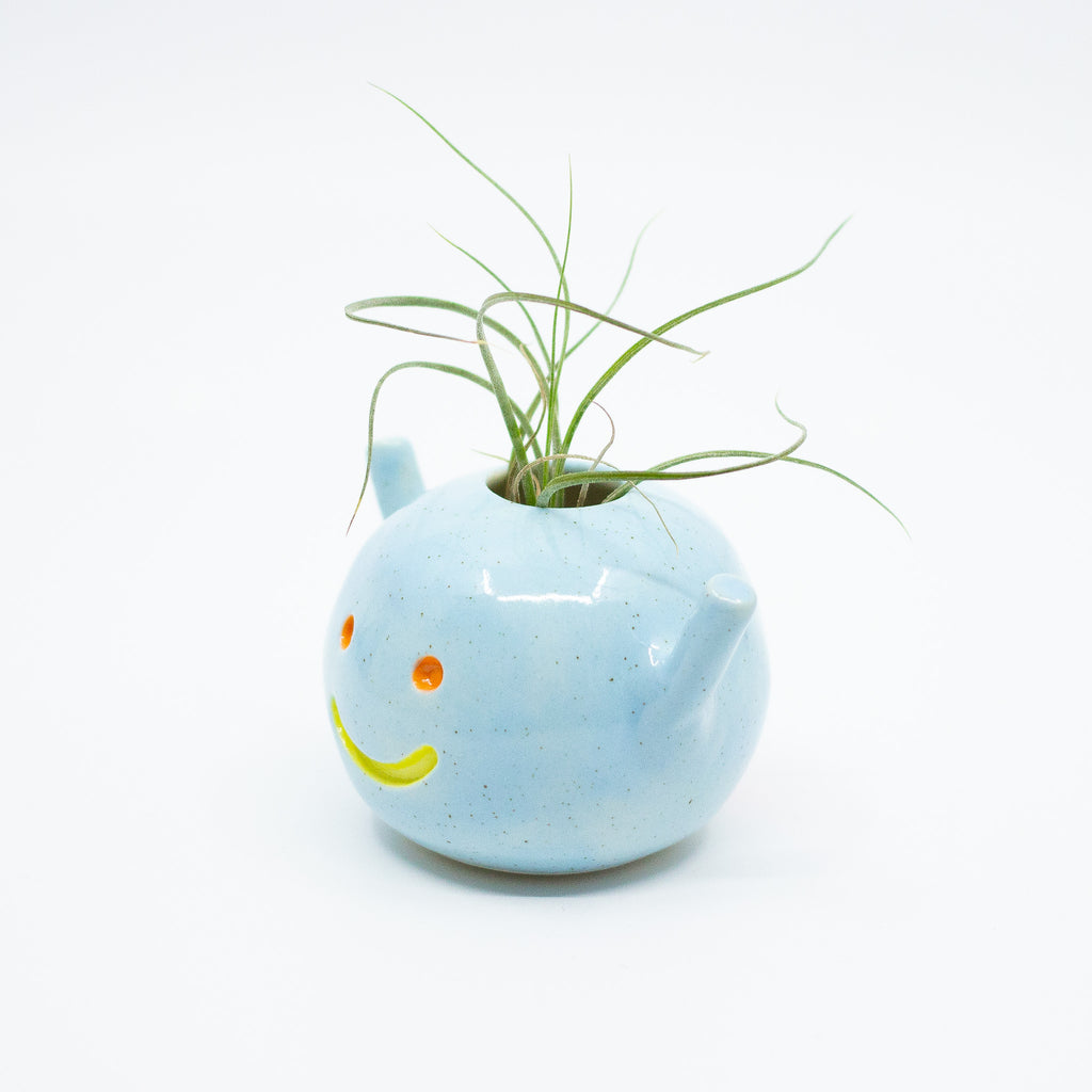 Side view of the Remi vase holding an air plant. 