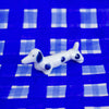 White ceramic dog figurine with blue spots on a blue checkered background