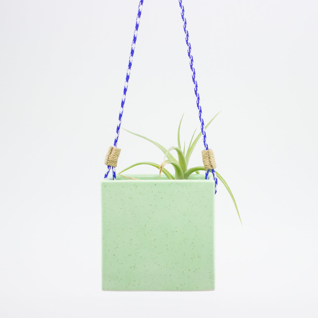 Green hanging planter with a small plant on a white background