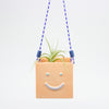 Smiley face hanging planter with a plant on a white background
