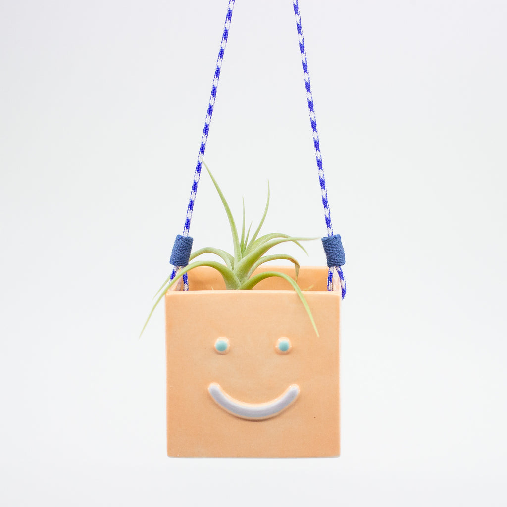 Smiley face hanging planter with a plant on a white background