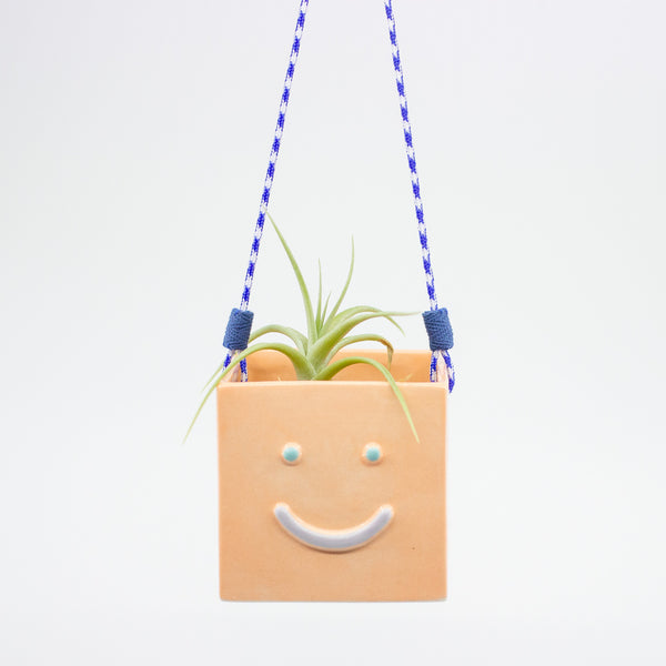 Smiley face hanging planter with a plant on a white background