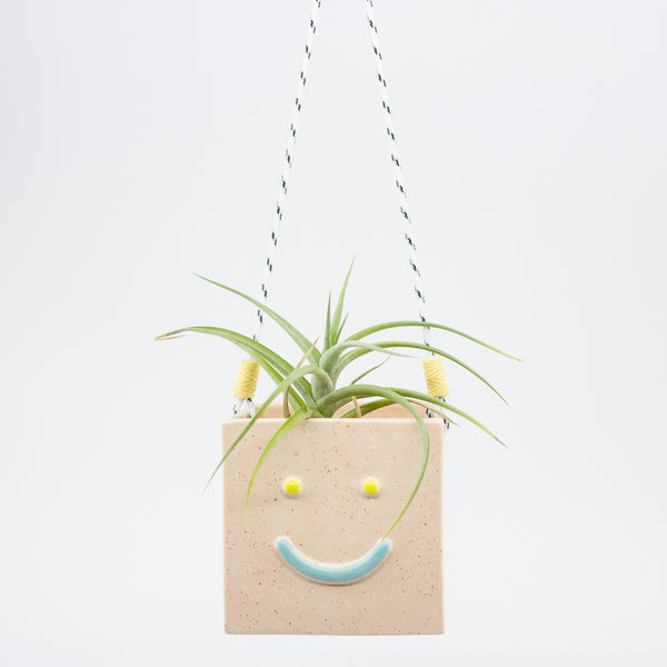 Hanging planter with a smiley face design on a white background