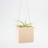 Peach square hanging planter with a plant on a white background