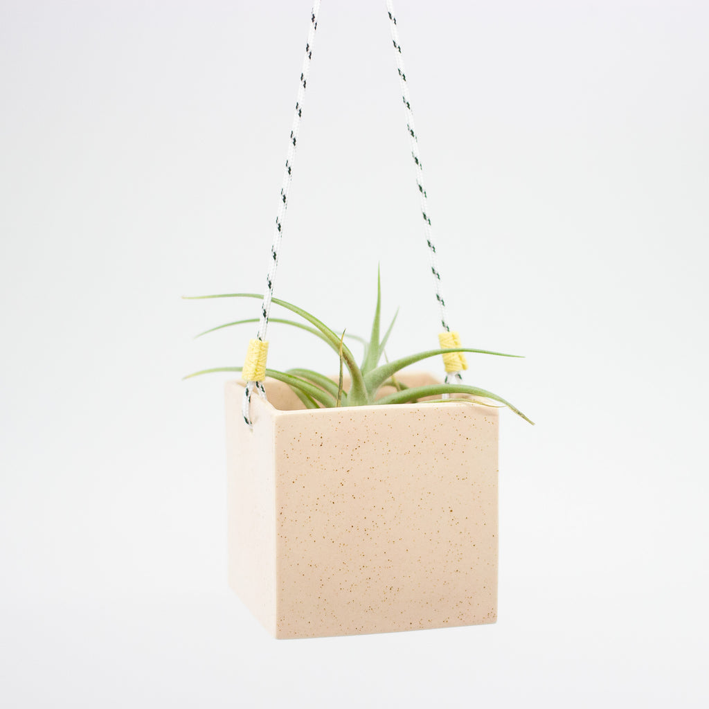 Peach square hanging planter with a plant on a white background