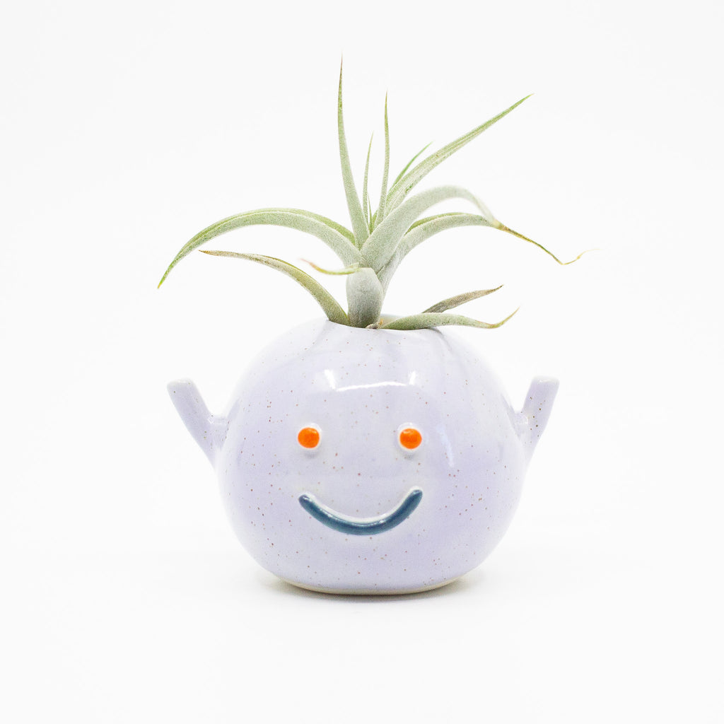 Front view of the Violet monster vase. Purple colour, raised arms, blue mouth, orange eyes, with air plant. 