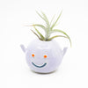 Side view of the Violet monster vase. Purple colour, raised arms, blue mouth, orange eyes, with air plant. de